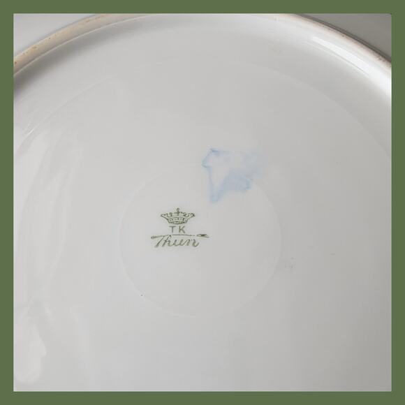 Vintage 1950s Hand-Painted TK Thun Plate from Czechoslovakia - Picture 4 of 5